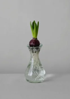 TOAST Hand Blown Polonaise Vase- Glass|Decorative Pieces