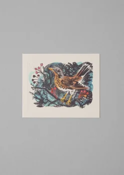 TOAST Mark Hearld Greeting Card Set- Stationery|Christmas Decorations