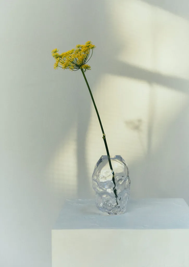 TOAST Rosie Stonham Medium Membrane Vase- Glass|Decorative Pieces
