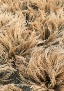 TOAST Sorghum Stripe Broom- Outdoor|Kitchen
